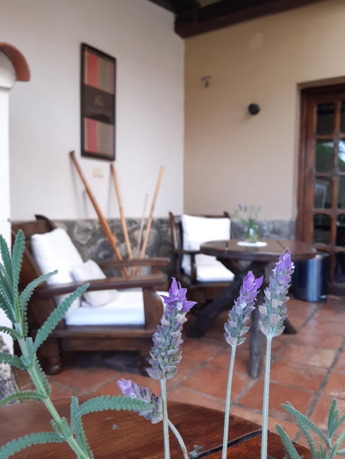 Casa Del Sol Cafayate B&B 외부 사진