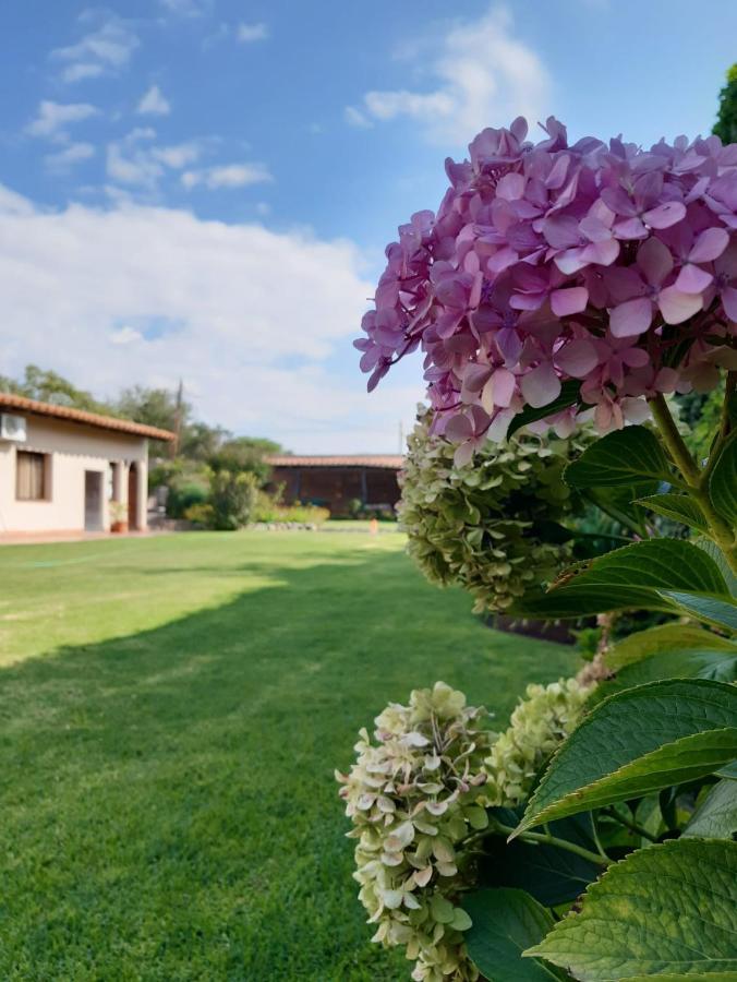 Casa Del Sol Cafayate B&B 외부 사진