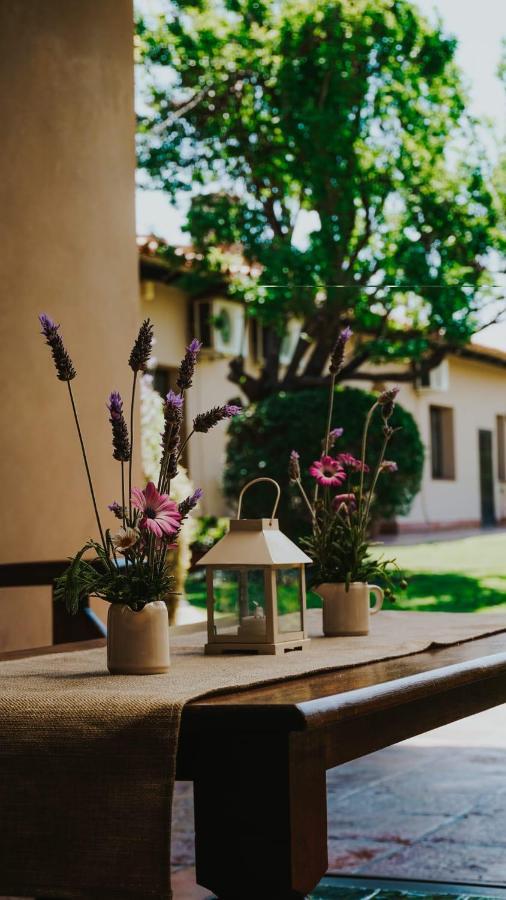 Casa Del Sol Cafayate B&B 외부 사진
